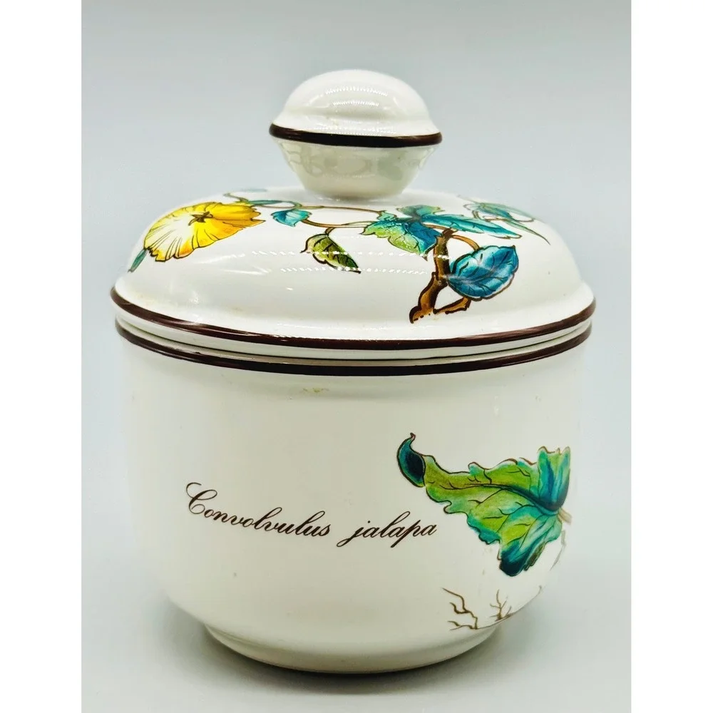 Villeroy Boch Creamer Sugar Set Botanica Oxalis Acetosella Convolvulus Jalapa